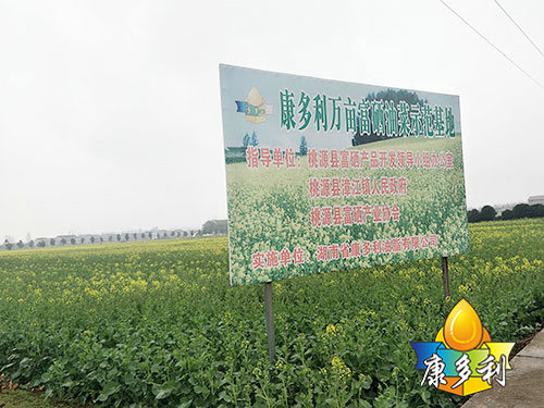 �л��Ͳ˻���1