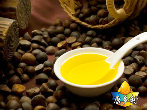 �л��Ͳ����6