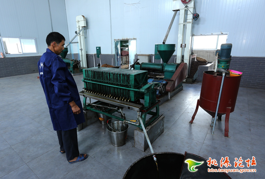 mg���ֵ�����Ϸ��վ,�Ͳ�ݪֲ�����ӹ�����,ֲ����ݪֲ�����ӹ�����