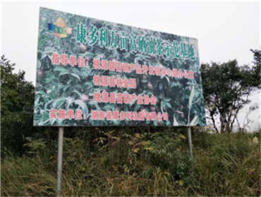 mg���ֵ�����Ϸ��վ,�Ͳ�ݪֲ�����ӹ�����,ֲ����ݪֲ�����ӹ�����