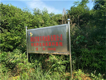 mg���ֵ�����Ϸ��վ,�Ͳ�ݪֲ�����ӹ�����,ֲ����ݪֲ�����ӹ�����